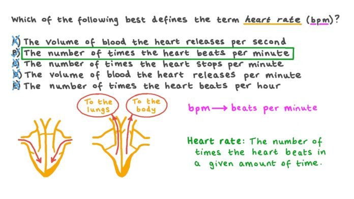 how many bpm is bittersweet teth by pts